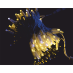 Cata 10 Metre Eklenebilir Flaşlı Süsleme Yılbaşı - Vitrin CT-8501