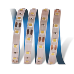 Cata 10 Çipli Şerit LED İç Mekan 12V Mavi CT-4484