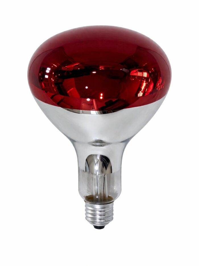 LDN 250R Infrared Isıtıcılı Ampul 250W Kırmızı Işık (E27) - Görsel 2